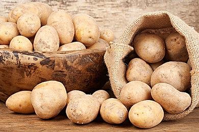 约会动作游戏《Eternights》现已正式发售